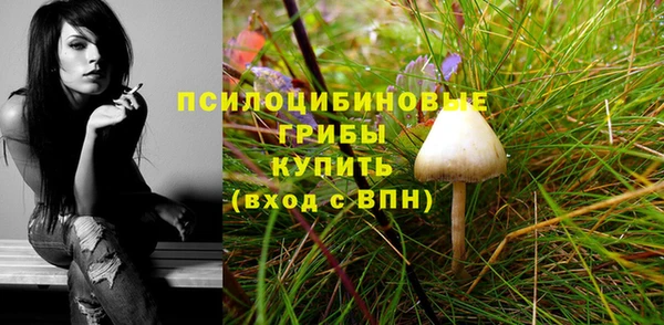 экстази Дмитров