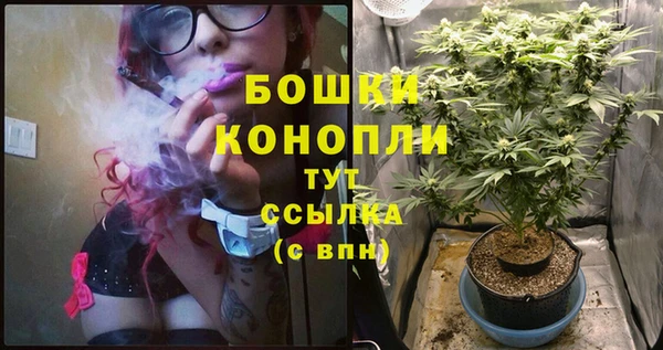 кокс Дмитровск
