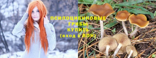 кокс Дмитровск