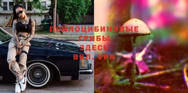 экстази Дмитров