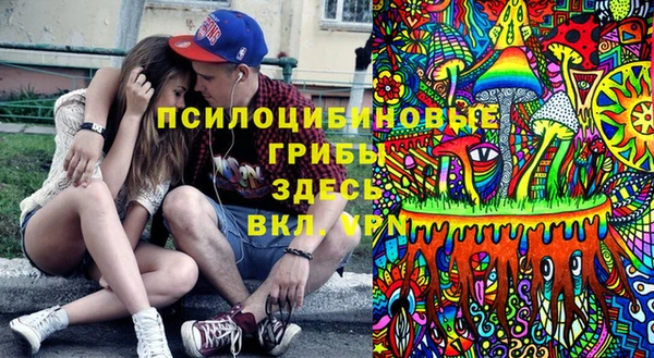 экстази Дмитров