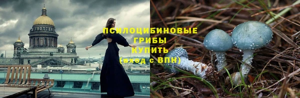 кокс Дмитровск