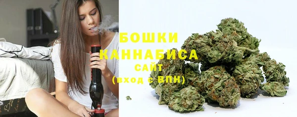 экстази Дмитриев