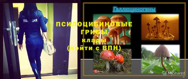 кокс Дмитровск
