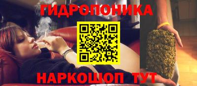 прущие крисы Волгодонск