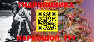 СК Волжск