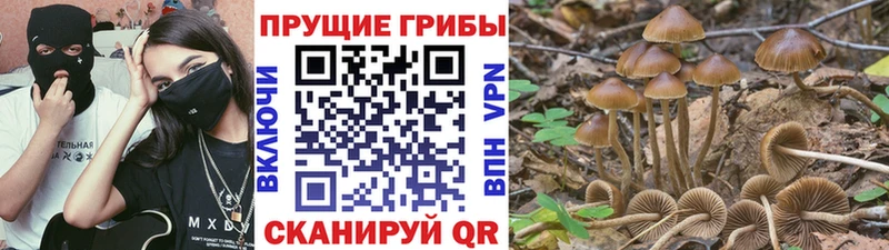 наркотики  Чусовой  Галлюциногенные грибы мицелий 