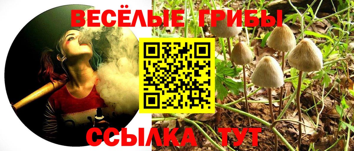 Галлюциногенные грибы мухоморы Чусовой